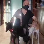 Os Pazos Familiar 2*