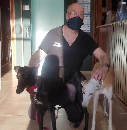 Os Pazos Familiar 2*