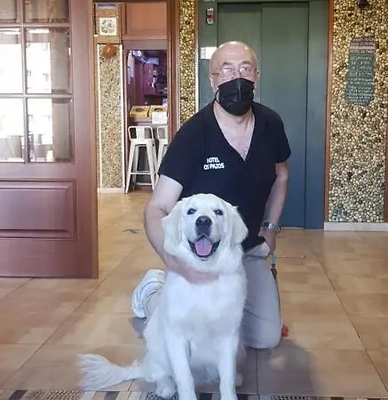 Os Pazos Familiar מלון